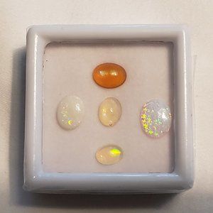 Lot of 5 opal loose gemstones in case  appr 3.60ct